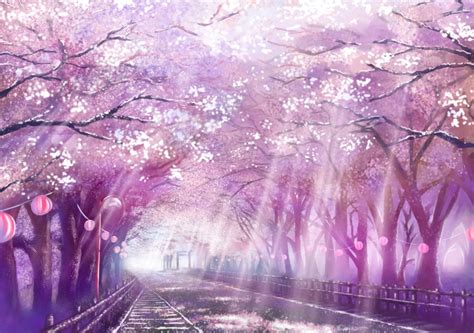 Flor De Cerezo Rayos De Sol Morado Anime Cherry Blossom Cherry