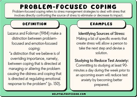 Problem Focused Coping 10 Examples And Definition 2024