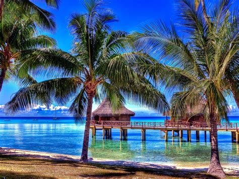 Paysage De Polynésie Fond Décran Et Images Gratuites