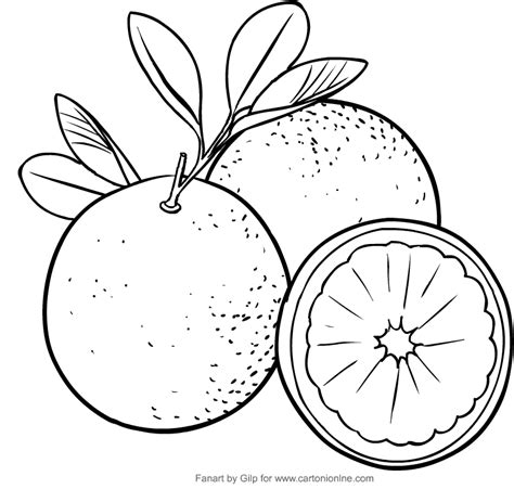 Oranges Coloring Pages Coloring Home