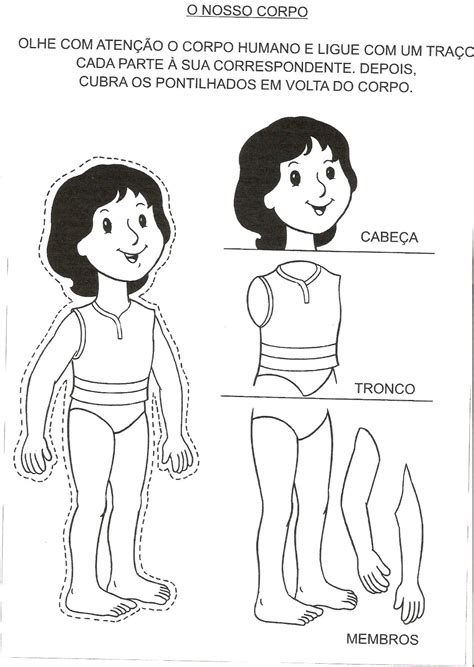 Atividades Sobre Partes Do Corpo Educação Infantil