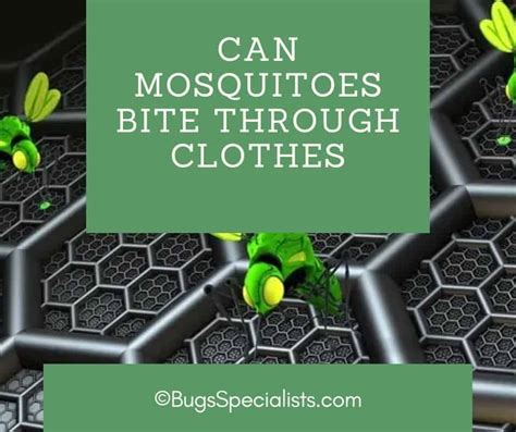 Can Mosquitoes Bite Through Clothes Pest Control Heroes