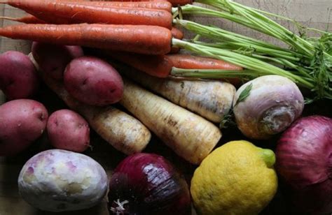 Fall Vegetable Gardening in Four Climate Zones - Organic Authority