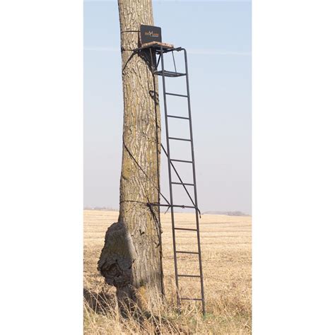 Big Game Stealth Basic 15 Ft Ladder Stand 99259 Ladder Tree Stands