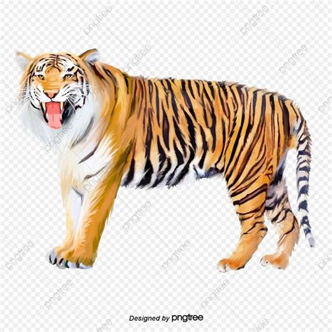 Tigre De Bengala O Tigre De Sumatra Png Tigre Do Nordeste Elemento
