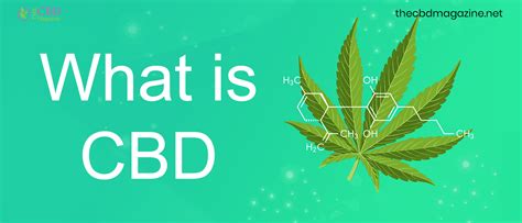 What Is Cbd Everything You Need To Know About Cbd