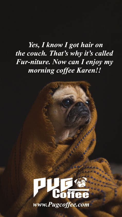 Couch Potato Pugs Coffee Quotes Funny Funny Quotes