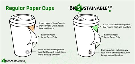 Compostable Hot Drink Paper Cups Coated With Bioplastic Singular