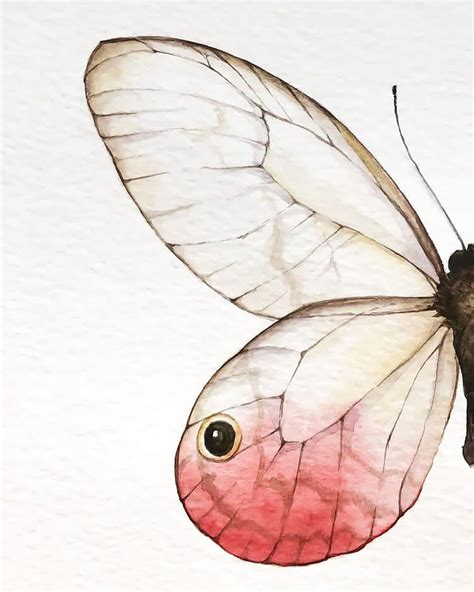 Beautiful Watercolor Butterfly Painting Ideas Beautiful Dawn Designs