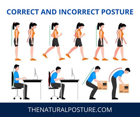 Does A Posture Corrector Brace Work Postures Bad Posture Posture