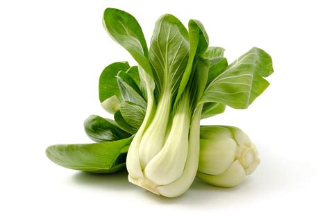 Vegetable Seeds Non Gmo 100 Pak Choi White Stem Cabbage Seeds Bok Choy