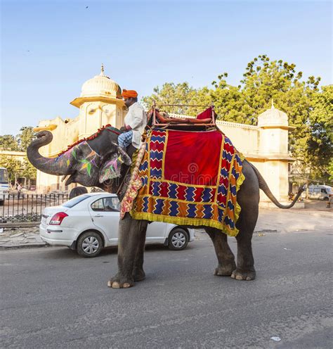 olifant in het fort van jaipur met toeristen redactionele stock afbeelding image of platteland