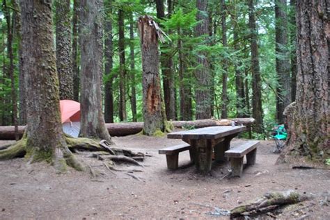 Site D008 Picture Of Ohanapecosh Campground Packwood Tripadvisor
