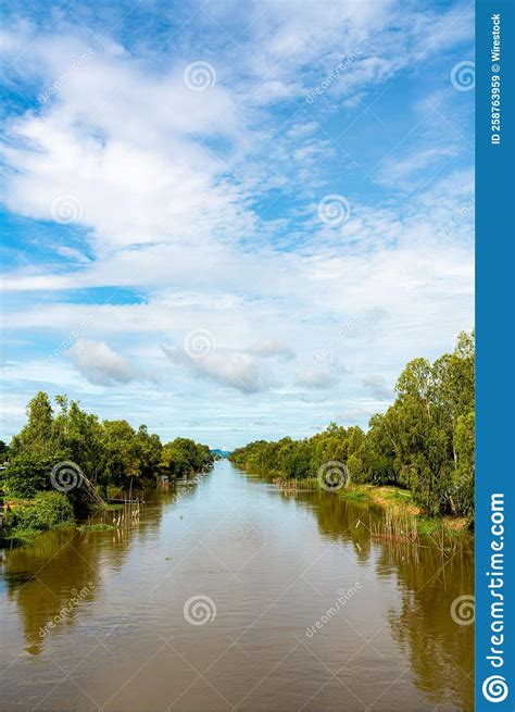River Flowing Through Green Trees Under A Blue Cloudy Sky Stock Image