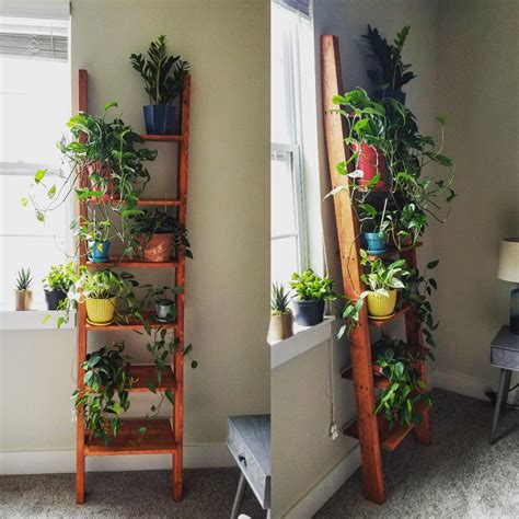 My Parents And I Built A Plant Shelf Over The Weekend And I Am In Love