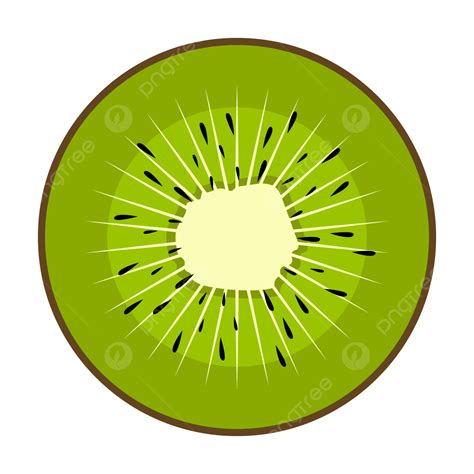 Kiwi Slice Vector Png Images Vector Of Fresh Kiwi Slice As Summer