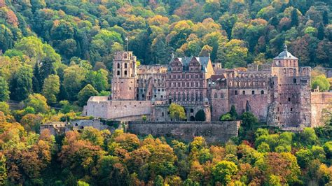 Germanys Black Forest Group Trip Beyond By Prometour