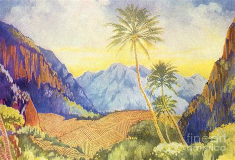 Tropical Vintage Hawaii Painting By Hawaiian Legacy Archive