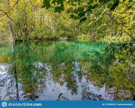 The Lake With Turquoise Water In The Fall Forest Stock Photo Image Of