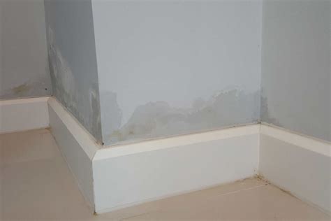 How To Get Rid Of Damp In Bedroom Wall