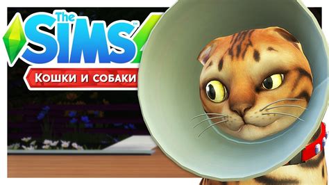 ам бэби In 2021 Sims 4 Anime Sims Sims 4 Characters Images And Photos