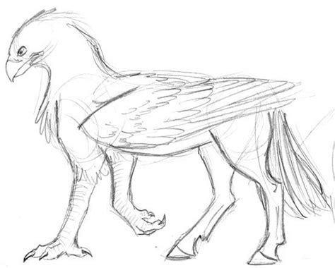 How To Draw A Griffin Mythical Creatures Drawings Mystical