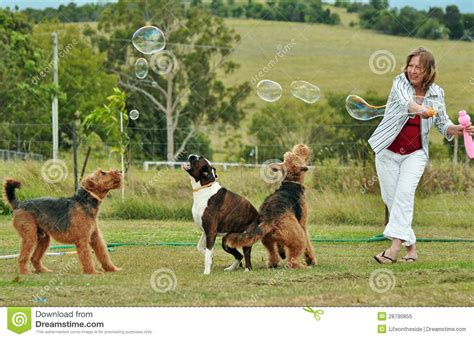 Woman Blowing Bubbles Playing With Her Dogs Stock Image