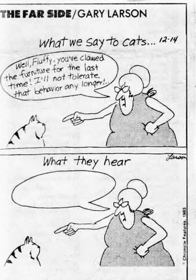 Gary Larson Cat Yahoo Image Search Results The Far Side Far Side