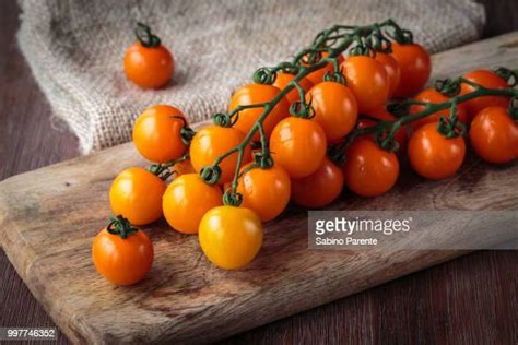 Orange Tomatoes Photos And Premium High Res Pictures Getty Images