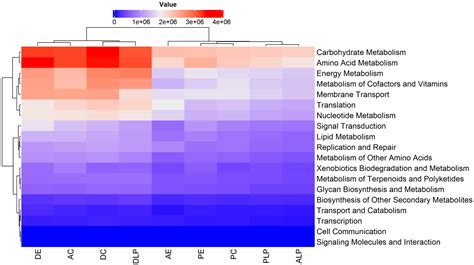 Loss Of Gut Microbial Diversity In The Cultured Agastric Fish Mexican