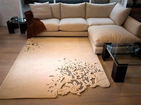Rugs For Cozy Living Room Area Rugs Ideas Roy Home Design