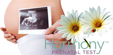 Prenatal Harmony Test Southgenetics