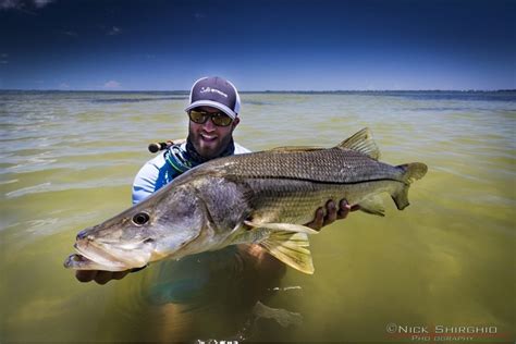 Snook Fishing Secrets From One Of The Best Snook Experts In The World