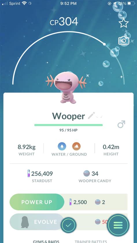 Shiny Wooper And Perfect Bidoof Rpokemongobrag