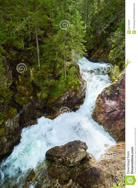 Green Forest Waterfall Stream Water Tatra Mountains Carpathians Stock