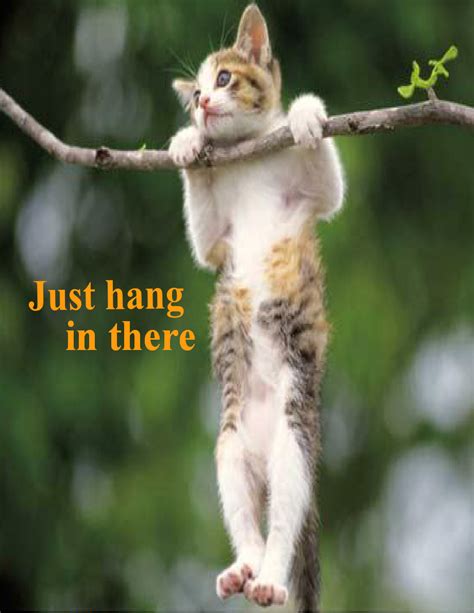 Hang In There Encouragement Quotes Quotesgram