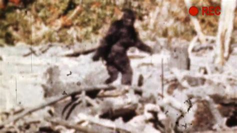 Watch Bigfoot Evidence Clip History Channel