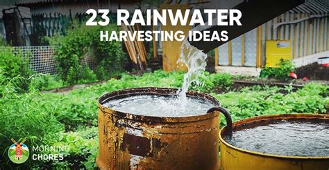 Diy Rainwater Collection Diy Ideas