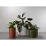 Drum Planter  Stylish Contemporary Indoor Outdoor Made By Tait