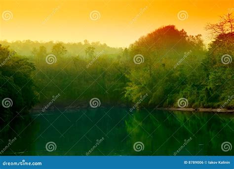 Sunset In Jungle Stock Photo Image Of Fresh River Summer 8789006