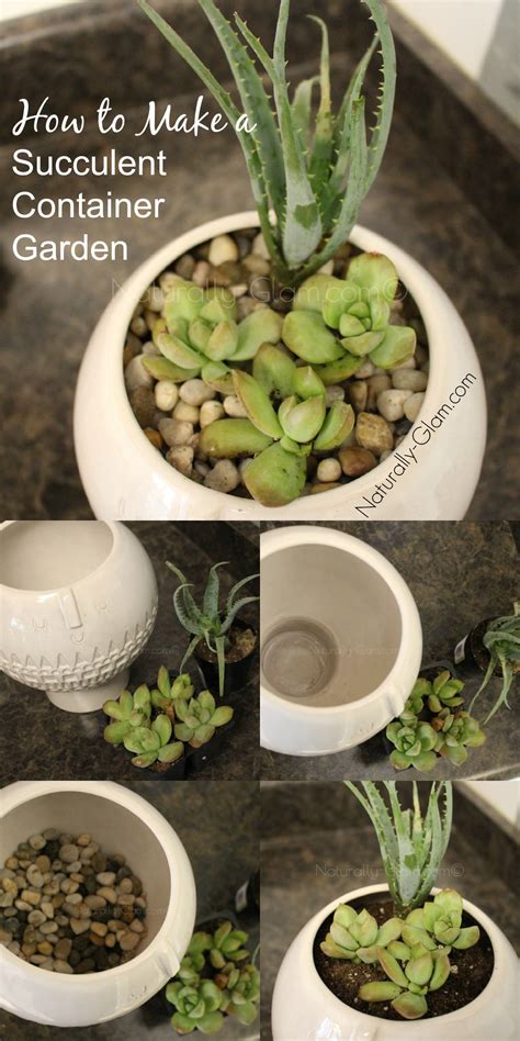 How To Make A Succulent Container Garden Naturally Glam