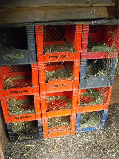 How To Build A Chicken Coop Nest Box Chicken Coop