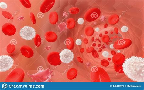 Red And White Blood Cells And Platelets Flowing Through A Vessel Or A
