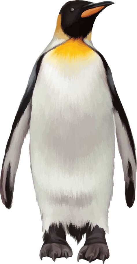 Penguin Png Images Free Download Winter Penguin Clipart Free