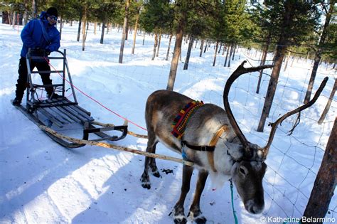 Exciting Outdoor Winter Activities In Swedens Lapland Travel The World