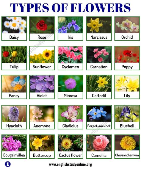 types of flowers with names and meanings