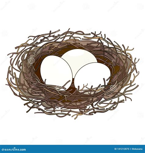 Vector Drawing Of Outline Bird Nest From Twigs With Three White Eggs