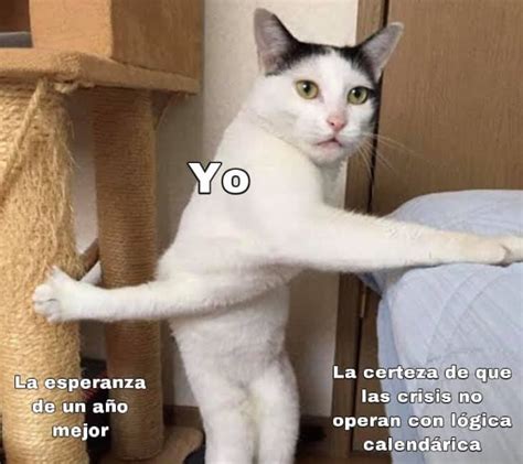 Top Memes De AÑo Nuevo En Español Memedroid