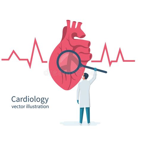 Cardiologist Doctor Vector Stock Vector Illustration Of Cardiology