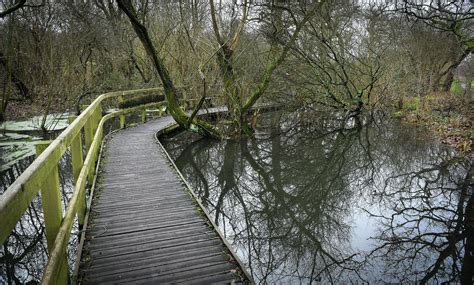 Pictured The Secret Nature Reserve And Lake Next To A3 In Guildford